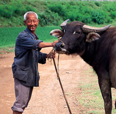 小型飼料顆粒機,農(nóng)民圓夢！